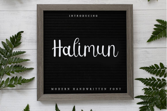 Hallimun: A Handwritten Font for Editorial Design